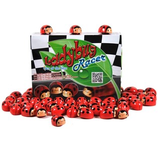 BIEDRONKA NAPĘDZANA W DISPLAYU (36 szt.)