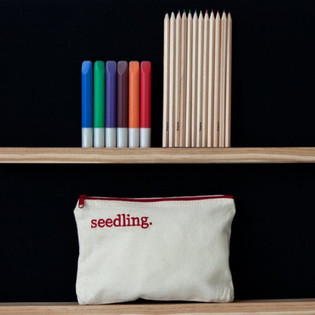 SEEDLING - ZAPROJEKTUJ WŁASNY PI&Oacute;RNIK (1 szt.)