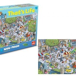 Puzzle That&rsquo;s Life - Village, 1000 element&oacute;w (1 szt.)